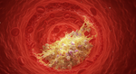 Beyond the Band-Aid: How Your Body's Internal Emergency System Stops Bleeding
