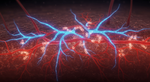 Beneath the Surface: The Body's Quiet Miracle of Rebuilding Nerves and Vessels After a Burn