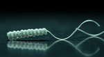 Is Your Dental Floss Toxic? The Unsettling Truth About 'Forever Chemicals'