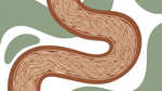 The Unseen Force in Gut Health: Understanding Insoluble Fiber
