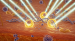 More Than Skin Deep: The Cellular Battle Behind Your Sunburn