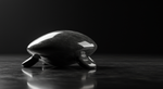 Solving for Stubborn: The Mathematical Riddle of the Self-Righting Shape