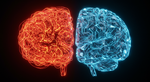 The Unemotional Brain: How Thinking in a Foreign Language Rewires Your Decisions