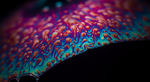 The Light Wave Duet That Creates a Bubble's Shimmer