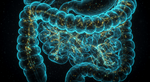 Your Second Brain: The Gut's Surprising Role in Mood and Decision-Making